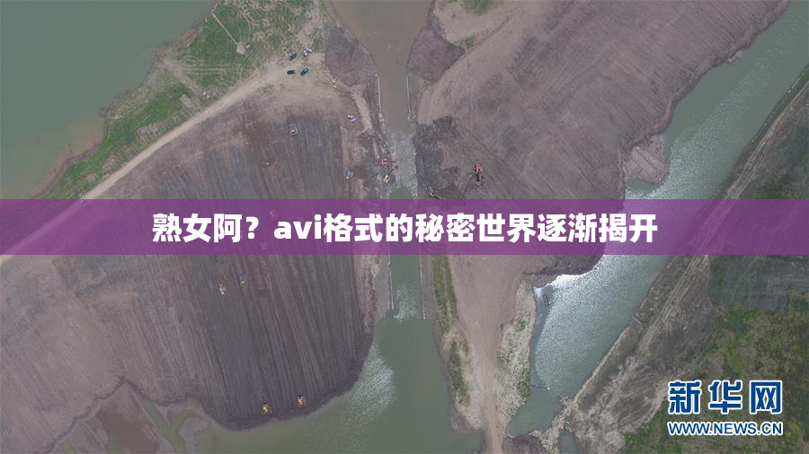 熟女阿？avi格式的秘密世界逐渐揭开