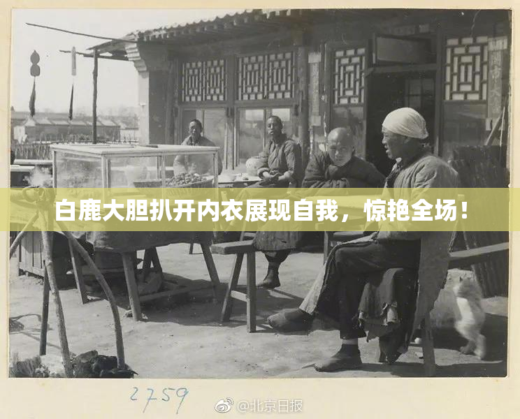 白鹿大胆扒开内衣展现自我，惊艳全场！