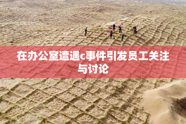 在办公室遭遇c事件引发员工关注与讨论