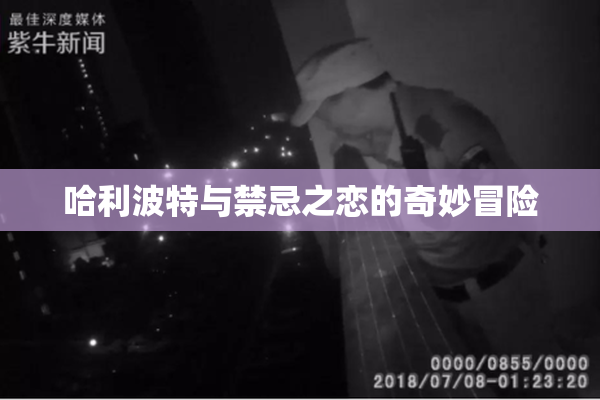 哈利波特与禁忌之恋的奇妙冒险