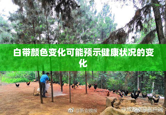 白带颜色变化可能预示健康状况的变化