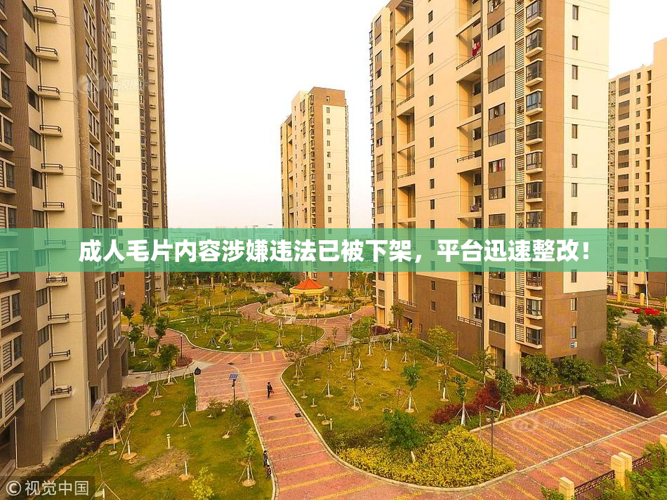 成人毛片内容涉嫌违法已被下架，平台迅速整改！