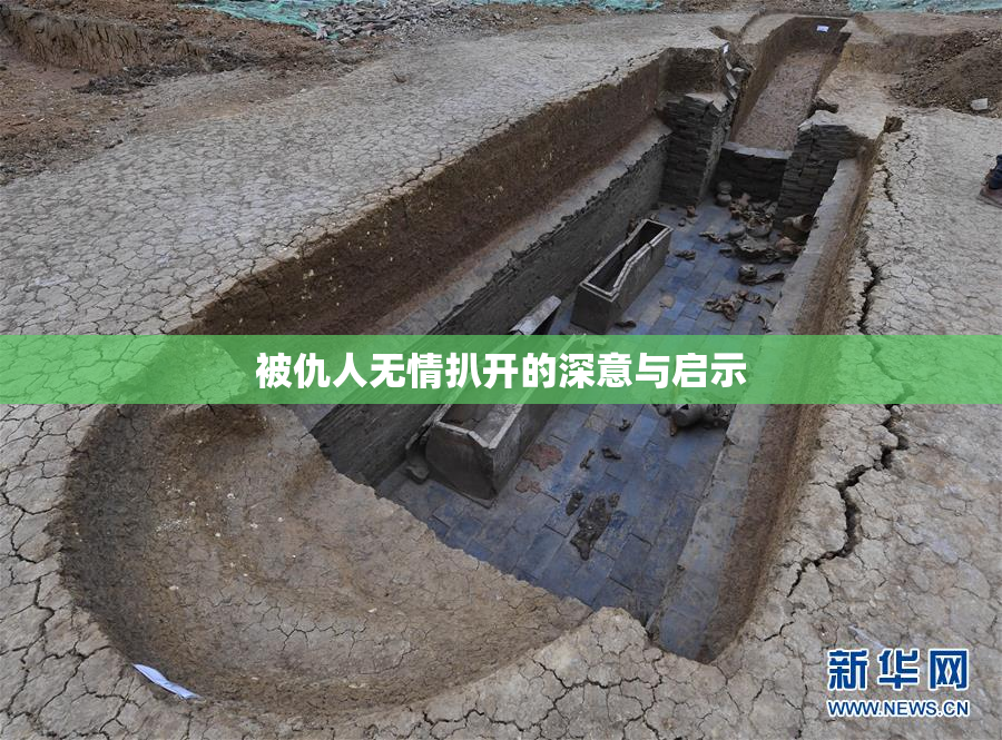被仇人无情扒开的深意与启示