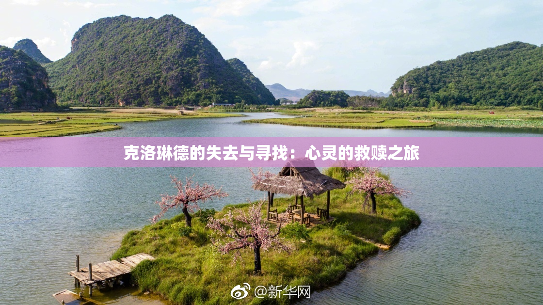 克洛琳德的失去与寻找：心灵的救赎之旅