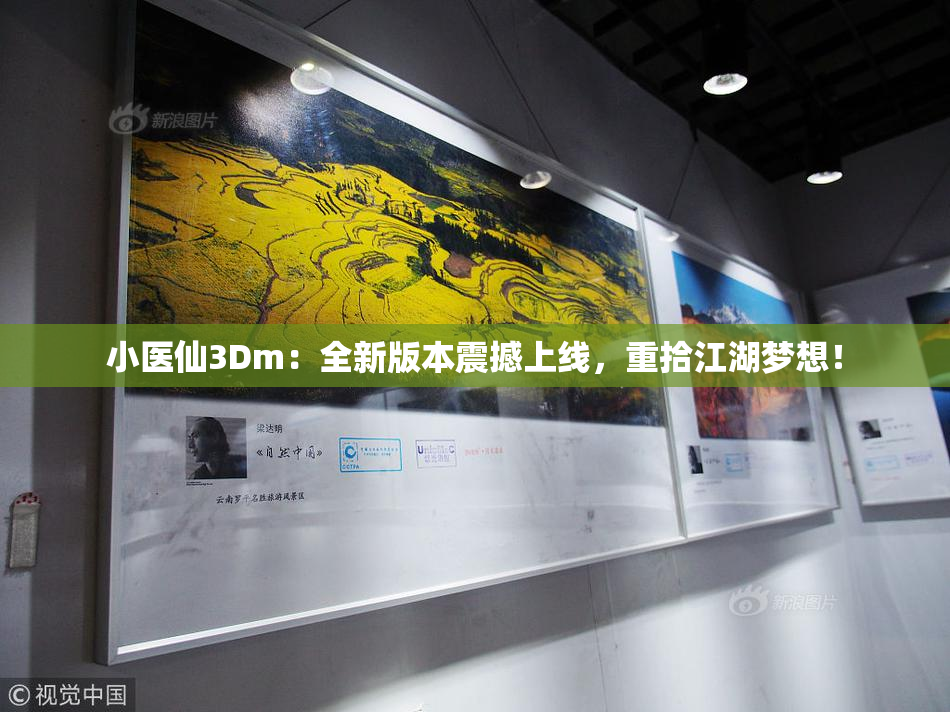 小医仙3Dm：全新版本震撼上线，重拾江湖梦想！