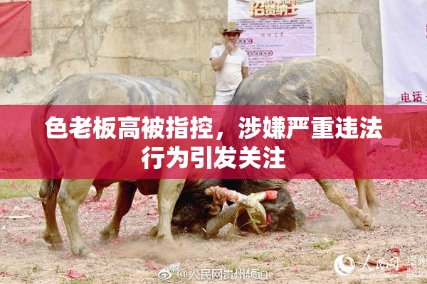 色老板高被指控，涉嫌严重违法行为引发关注