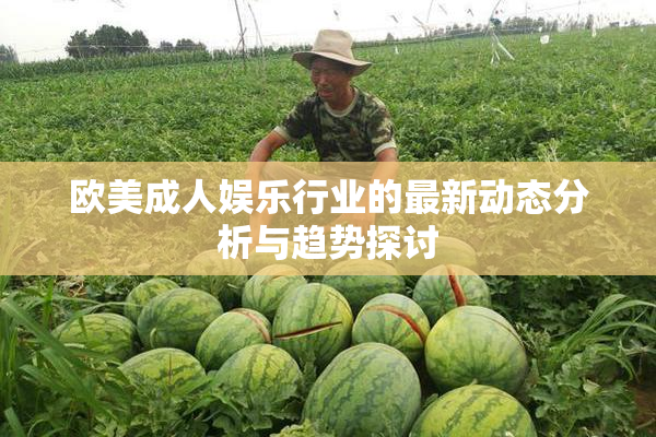 欧美成人娱乐行业的最新动态分析与趋势探讨