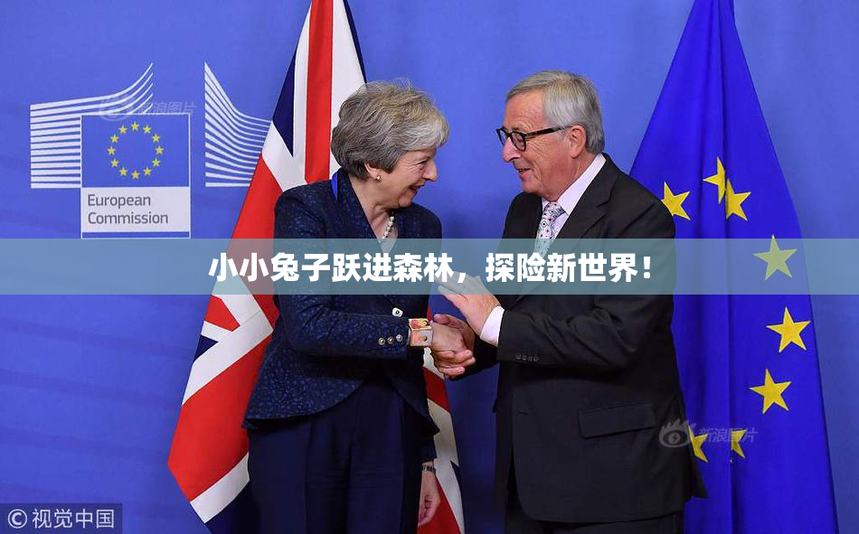 小小兔子跃进森林，探险新世界！