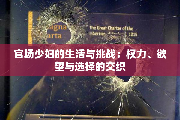 官场少妇的生活与挑战：权力、欲望与选择的交织