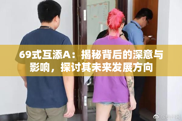 69式互添A：揭秘背后的深意与影响，探讨其未来发展方向