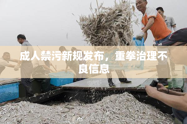 成人禁污新规发布，重拳治理不良信息