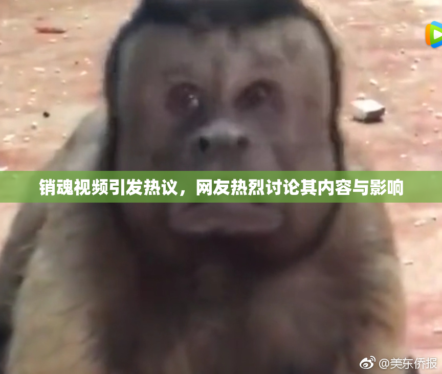 销魂视频引发热议，网友热烈讨论其内容与影响