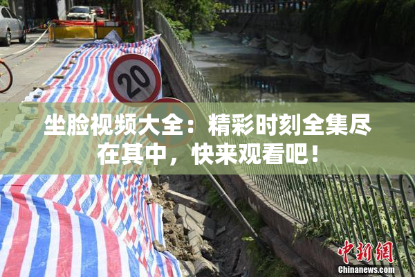 坐脸视频大全：精彩时刻全集尽在其中，快来观看吧！