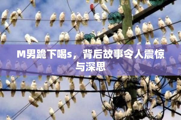 M男跪下喝s，背后故事令人震惊与深思