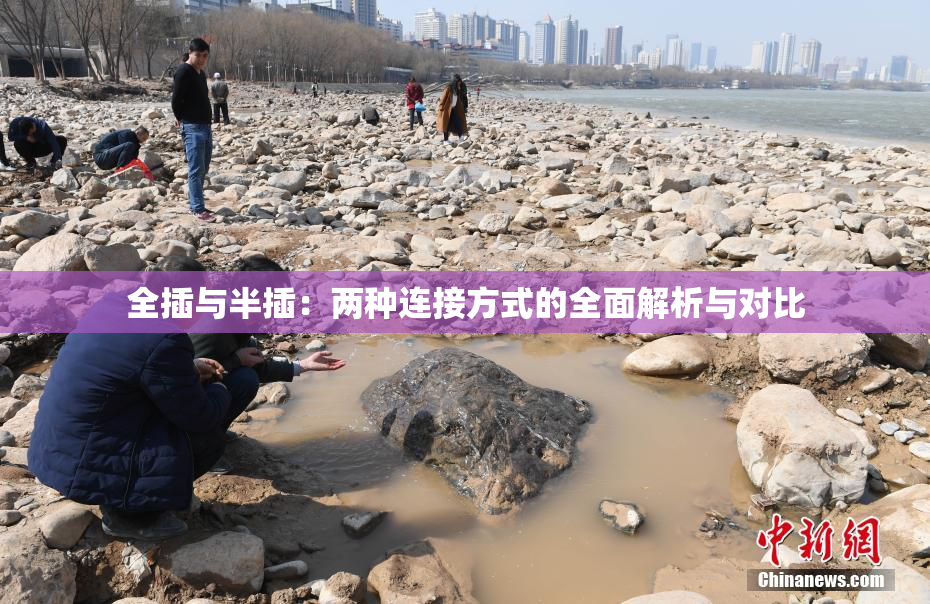 全插与半插：两种连接方式的全面解析与对比