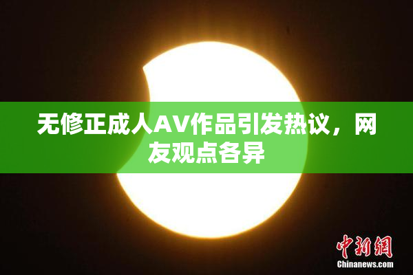 无修正成人AV作品引发热议，网友观点各异