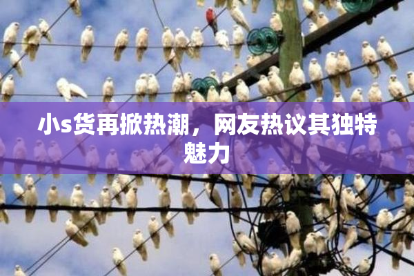 小s货再掀热潮，网友热议其独特魅力