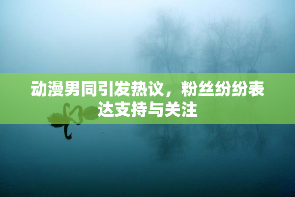 动漫男同引发热议，粉丝纷纷表达支持与关注