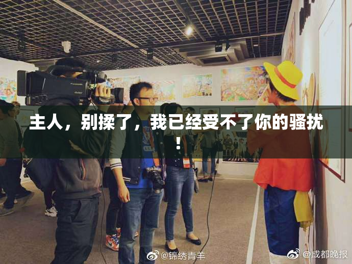 主人，别揉了，我已经受不了你的骚扰！