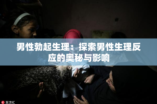 男性勃起生理：探索男性生理反应的奥秘与影响
