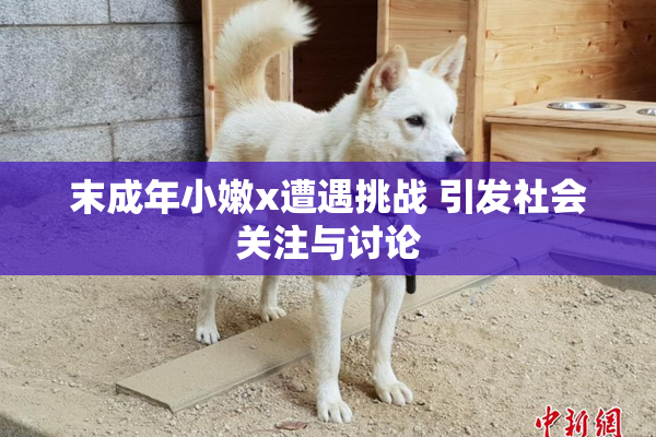 末成年小嫩x遭遇挑战 引发社会关注与讨论