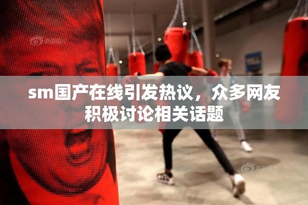 sm国产在线引发热议，众多网友积极讨论相关话题