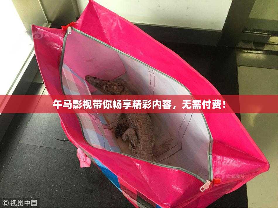 午马影视带你畅享精彩内容，无需付费！
