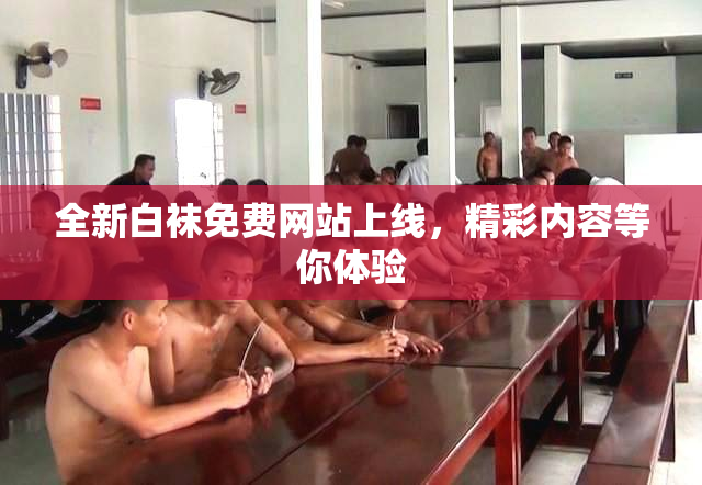 全新白袜免费网站上线，精彩内容等你体验