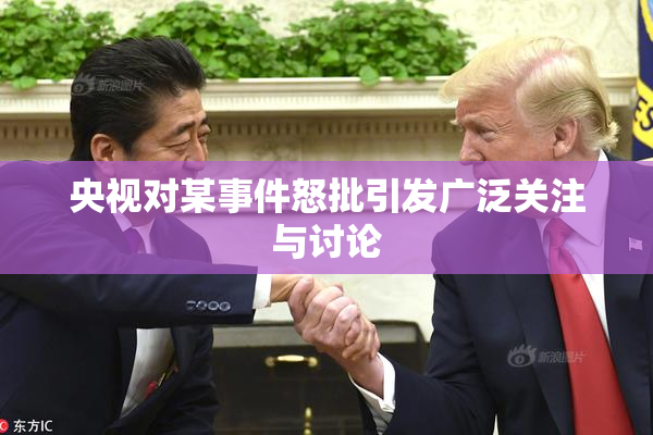 央视对某事件怒批引发广泛关注与讨论
