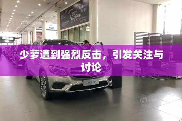 少萝遭到强烈反击，引发关注与讨论