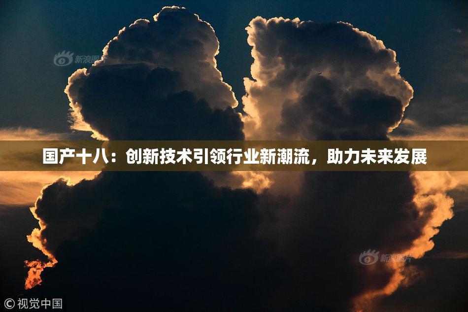 国产十八：创新技术引领行业新潮流，助力未来发展