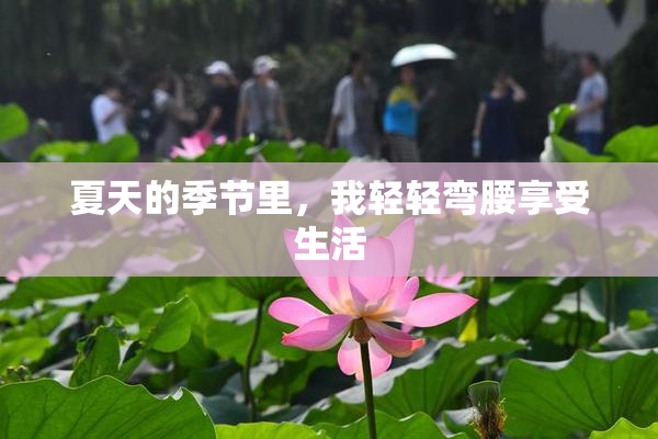 夏天的季节里，我轻轻弯腰享受生活