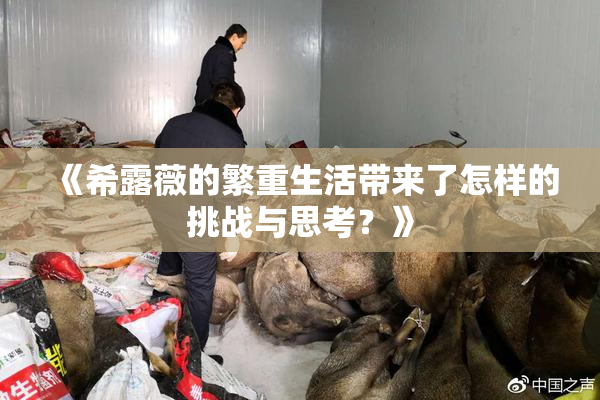 《希露薇的繁重生活带来了怎样的挑战与思考？》
