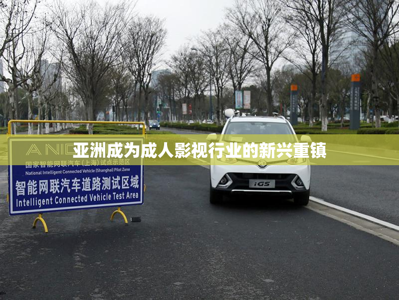 亚洲成为成人影视行业的新兴重镇