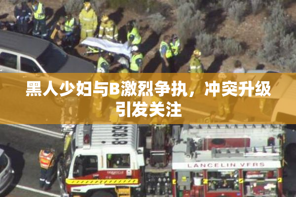 黑人少妇与B激烈争执，冲突升级引发关注