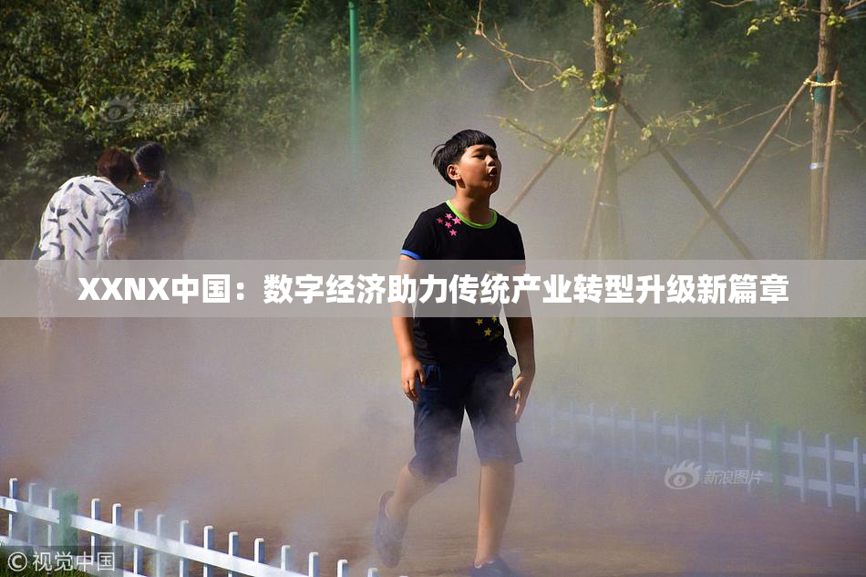 XXNX中国：数字经济助力传统产业转型升级新篇章