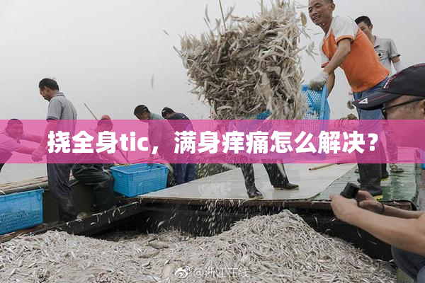 挠全身tic，满身痒痛怎么解决？
