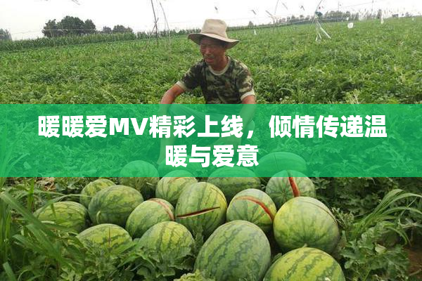 暖暖爱MV精彩上线，倾情传递温暖与爱意