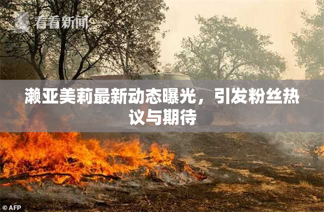 濑亚美莉最新动态曝光，引发粉丝热议与期待