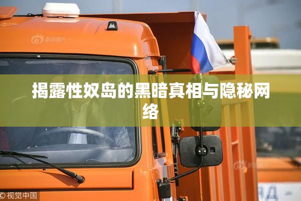 揭露性奴岛的黑暗真相与隐秘网络