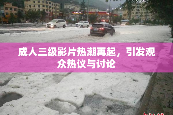 成人三级影片热潮再起，引发观众热议与讨论
