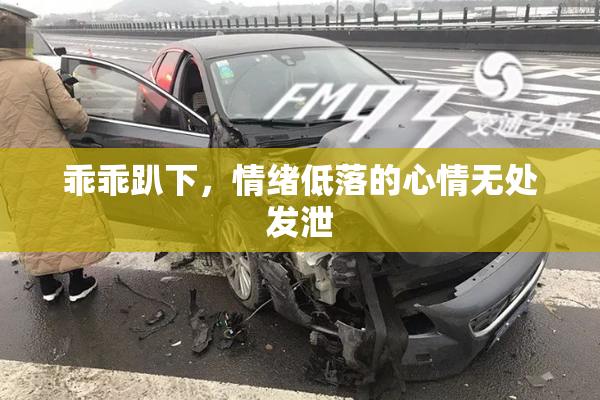 乖乖趴下，情绪低落的心情无处发泄