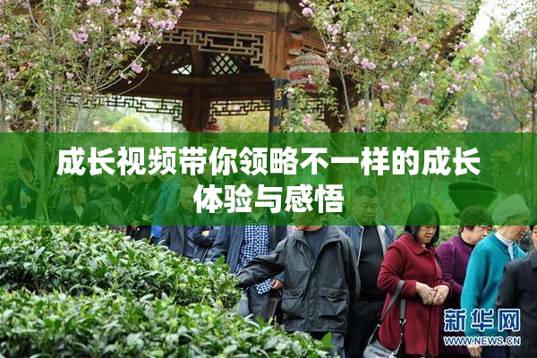 成长视频带你领略不一样的成长体验与感悟