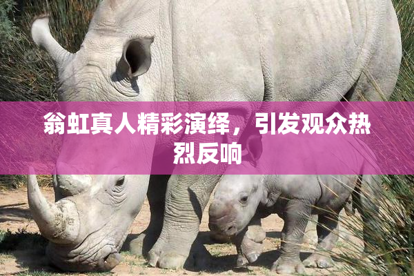 翁虹真人精彩演绎，引发观众热烈反响