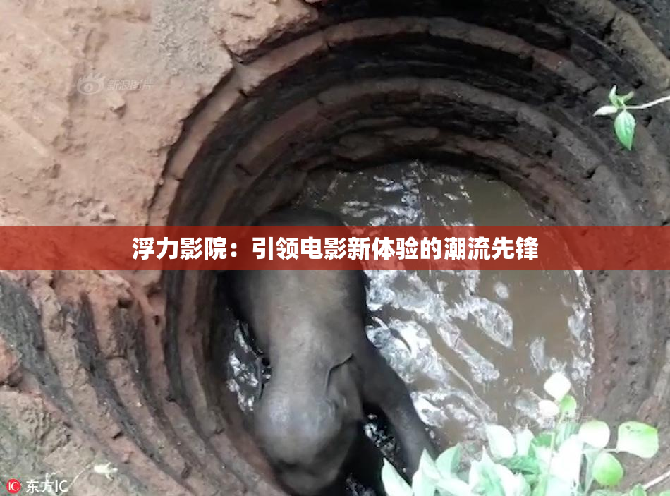 浮力影院：引领电影新体验的潮流先锋
