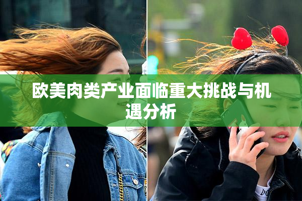 欧美肉类产业面临重大挑战与机遇分析
