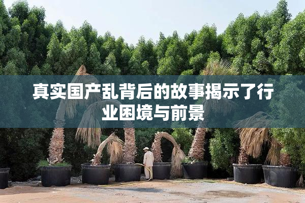 真实国产乱背后的故事揭示了行业困境与前景