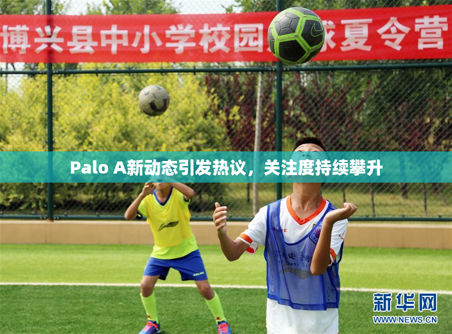 Palo A新动态引发热议，关注度持续攀升
