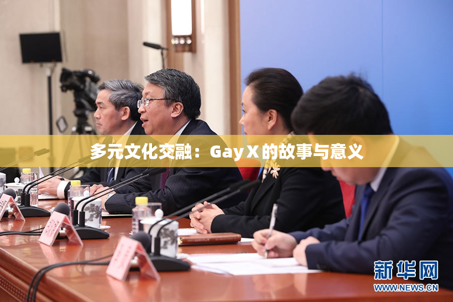 多元文化交融：GayⅩ的故事与意义
