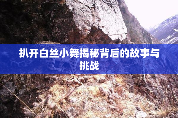 扒开白丝小舞揭秘背后的故事与挑战